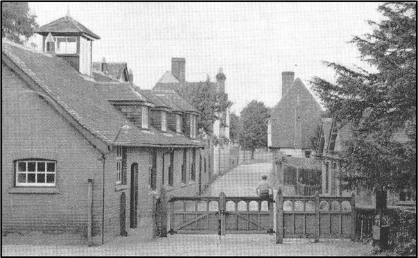 Writtle Churchyard