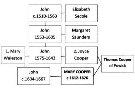 Mary Cooper Tree