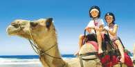 Port Macquarie Camel Safaris