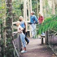 Sea Acres Rainforest Centre